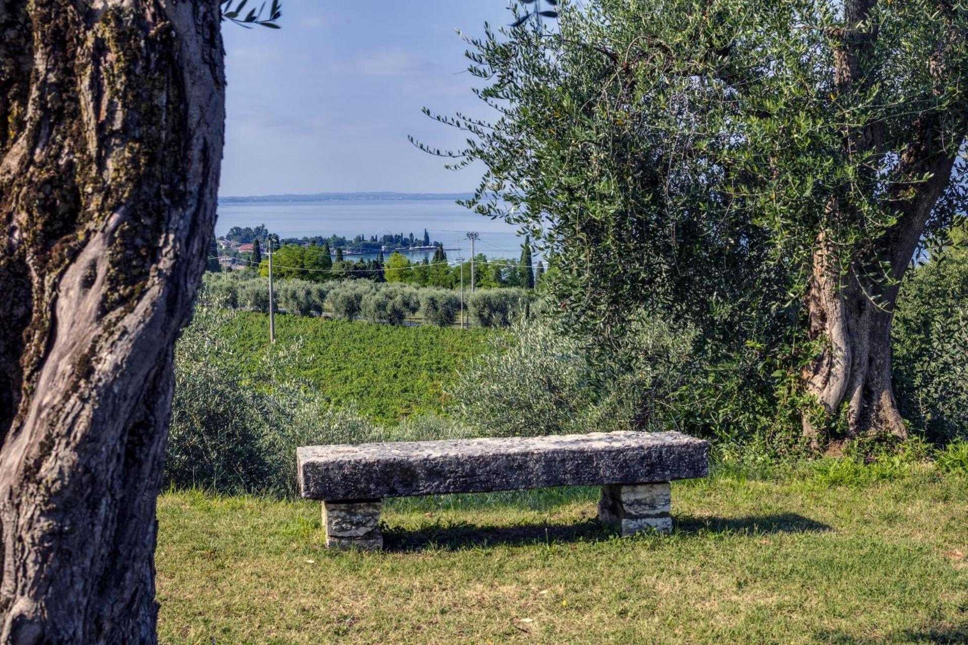 Appartamenti Ca' Mure Бардолино Экстерьер фото